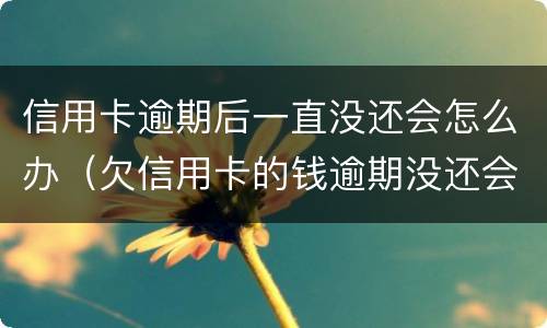 信用卡逾期后一直没还会怎么办（欠信用卡的钱逾期没还会怎么样）