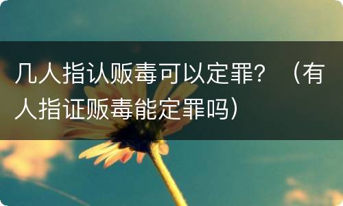几人指认贩毒可以定罪？（有人指证贩毒能定罪吗）