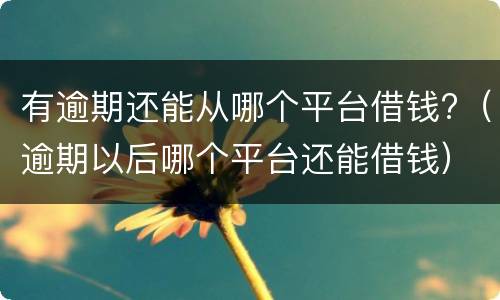 有逾期还能从哪个平台借钱?（逾期以后哪个平台还能借钱）