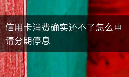 信用卡消费确实还不了怎么申请分期停息