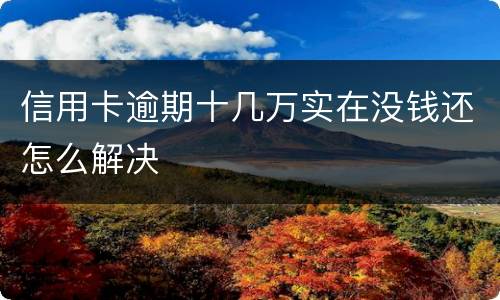 信用卡逾期十几万实在没钱还怎么解决