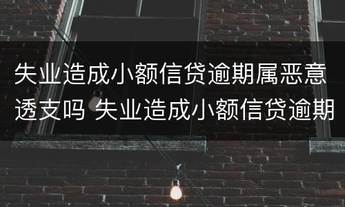 失业造成小额信贷逾期属恶意透支吗 失业造成小额信贷逾期属恶意透支吗为什么