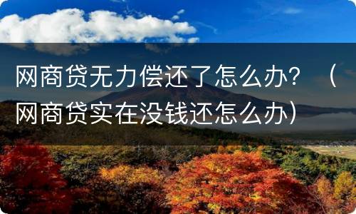 网商贷无力偿还了怎么办？（网商贷实在没钱还怎么办）