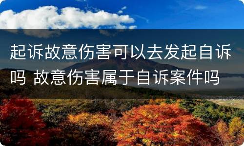 起诉故意伤害可以去发起自诉吗 故意伤害属于自诉案件吗