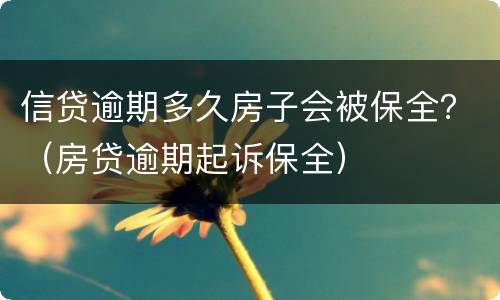 信贷逾期多久房子会被保全？（房贷逾期起诉保全）