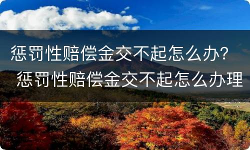 惩罚性赔偿金交不起怎么办？ 惩罚性赔偿金交不起怎么办理