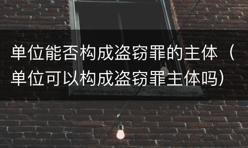 单位能否构成盗窃罪的主体（单位可以构成盗窃罪主体吗）