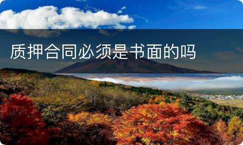 质押合同必须是书面的吗