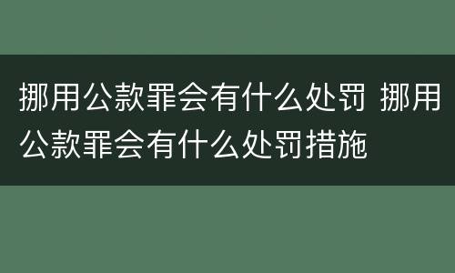 挪用公款罪会有什么处罚 挪用公款罪会有什么处罚措施