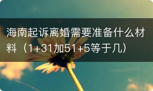 海南起诉离婚需要准备什么材料（1+31加51+5等于几）