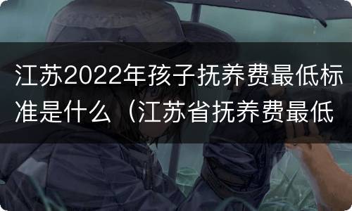 江苏2022年孩子抚养费最低标准是什么（江苏省抚养费最低标准是多少）