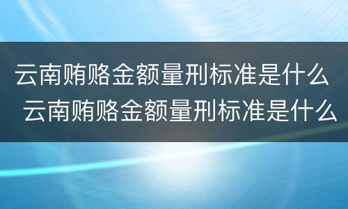 云南贿赂金额量刑标准是什么 云南贿赂金额量刑标准是什么样的
