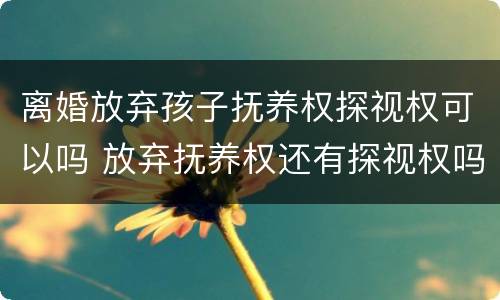 离婚放弃孩子抚养权探视权可以吗 放弃抚养权还有探视权吗