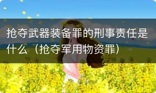 抢夺武器装备罪的刑事责任是什么（抢夺军用物资罪）