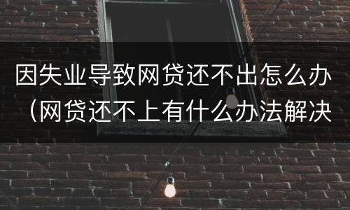 因失业导致网贷还不出怎么办（网贷还不上有什么办法解决）