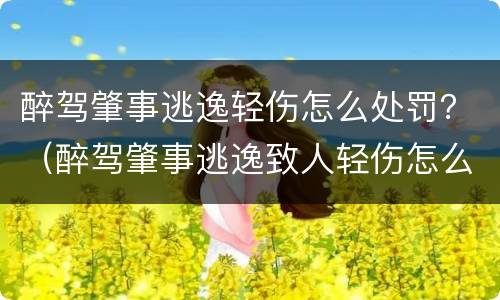 醉驾肇事逃逸轻伤怎么处罚？（醉驾肇事逃逸致人轻伤怎么处罚）