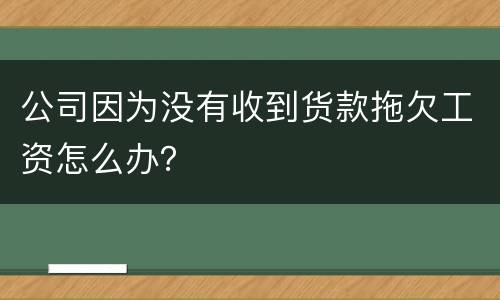 公司因为没有收到货款拖欠工资怎么办？