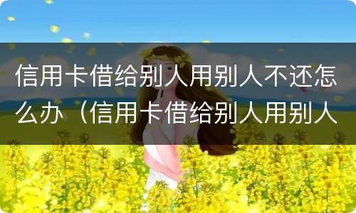信用卡借给别人用别人不还怎么办（信用卡借给别人用别人不还怎么办呢）