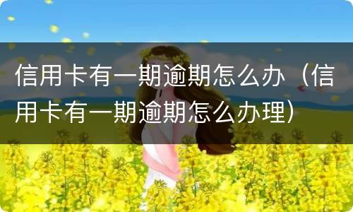信用卡有一期逾期怎么办（信用卡有一期逾期怎么办理）