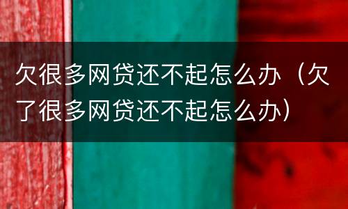 欠很多网贷还不起怎么办（欠了很多网贷还不起怎么办）