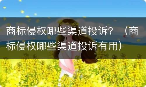 商标侵权哪些渠道投诉？（商标侵权哪些渠道投诉有用）