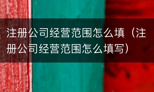 注册公司经营范围怎么填（注册公司经营范围怎么填写）