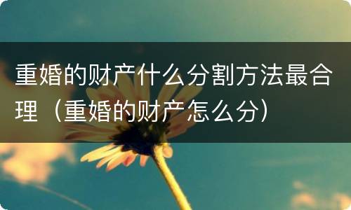 重婚的财产什么分割方法最合理（重婚的财产怎么分）