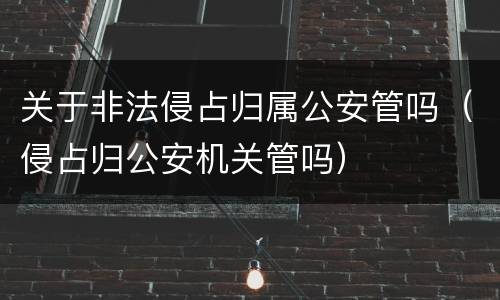 关于非法侵占归属公安管吗（侵占归公安机关管吗）