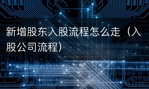 新增股东入股流程怎么走（入股公司流程）
