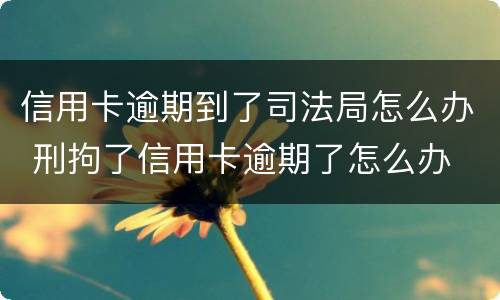 信用卡逾期到了司法局怎么办 刑拘了信用卡逾期了怎么办