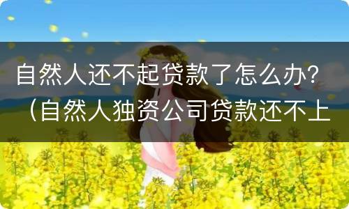 自然人还不起贷款了怎么办？（自然人独资公司贷款还不上）
