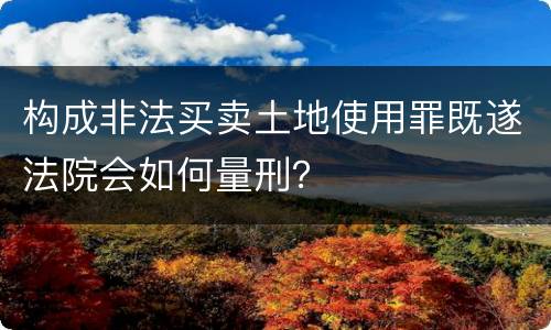 构成非法买卖土地使用罪既遂法院会如何量刑？