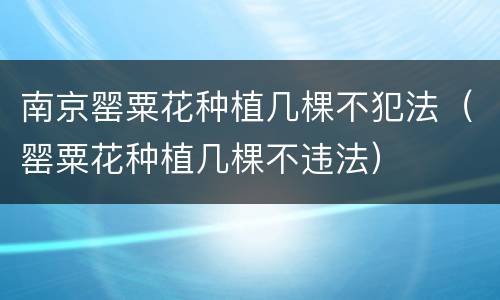 南京罂粟花种植几棵不犯法（罂粟花种植几棵不违法）