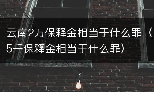 云南2万保释金相当于什么罪（5千保释金相当于什么罪）