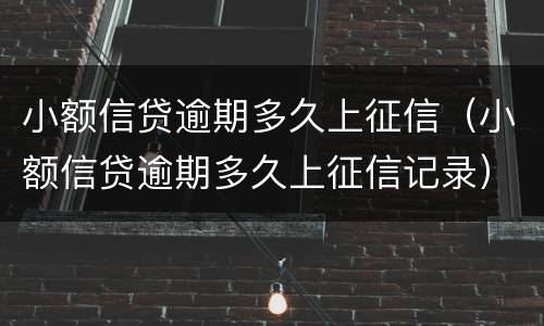 小额信贷逾期多久上征信（小额信贷逾期多久上征信记录）