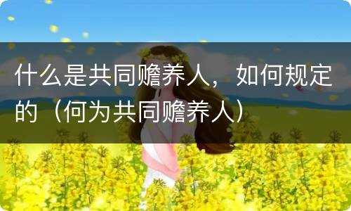 什么是共同赡养人，如何规定的（何为共同赡养人）