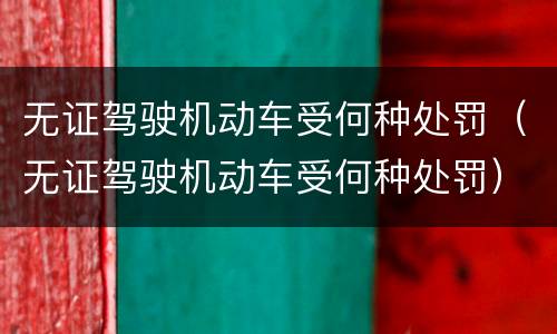 无证驾驶机动车受何种处罚（无证驾驶机动车受何种处罚）