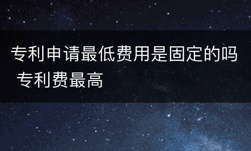 专利申请最低费用是固定的吗 专利费最高
