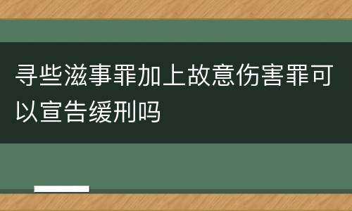 寻些滋事罪加上故意伤害罪可以宣告缓刑吗