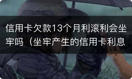 信用卡欠款13个月利滚利会坐牢吗（坐牢产生的信用卡利息）