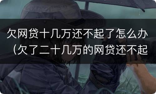 欠网贷十几万还不起了怎么办（欠了二十几万的网贷还不起了怎么办）