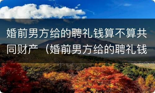 婚前男方给的聘礼钱算不算共同财产（婚前男方给的聘礼钱算不算共同财产呢）