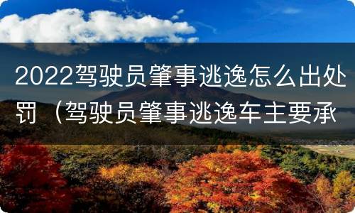 2022驾驶员肇事逃逸怎么出处罚（驾驶员肇事逃逸车主要承担多少赔偿）
