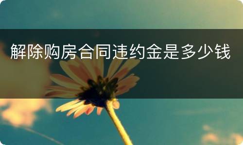解除购房合同违约金是多少钱