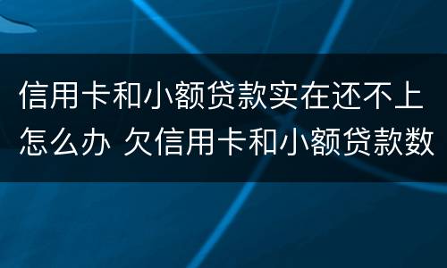 信用卡和小额贷款实在还不上怎么办 欠信用卡和小额贷款数目巨大还不了怎么办
