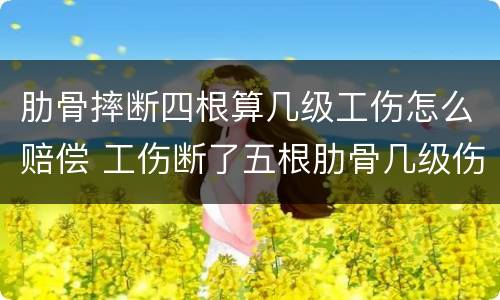 肋骨摔断四根算几级工伤怎么赔偿 工伤断了五根肋骨几级伤残赔偿多少钱?