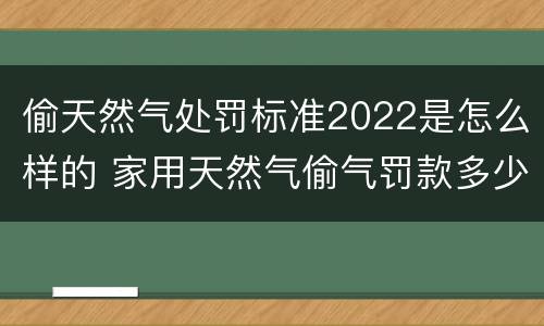 偷天然气处罚标准2022是怎么样的 家用天然气偷气罚款多少