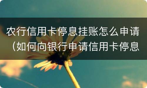 农行信用卡停息挂账怎么申请（如何向银行申请信用卡停息挂账）