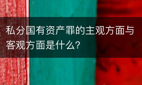 私分国有资产罪的主观方面与客观方面是什么？