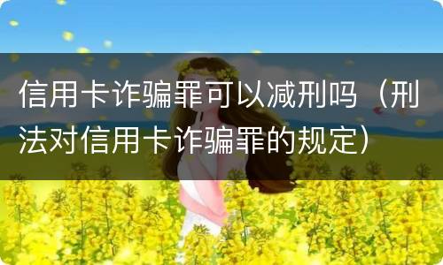 信用卡诈骗罪可以减刑吗（刑法对信用卡诈骗罪的规定）